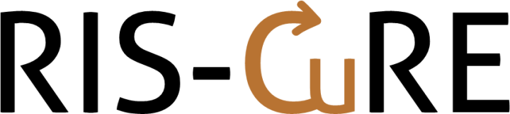 Zero waste recovery of copper tailings in ESEE