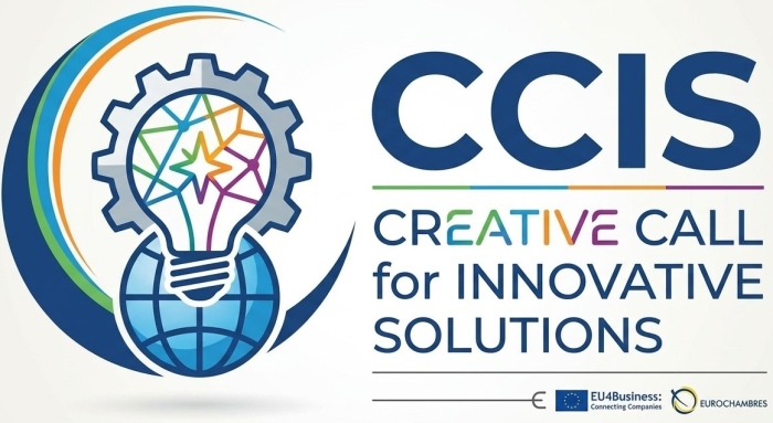 CCIS – Creative Call for Innovative Solutions