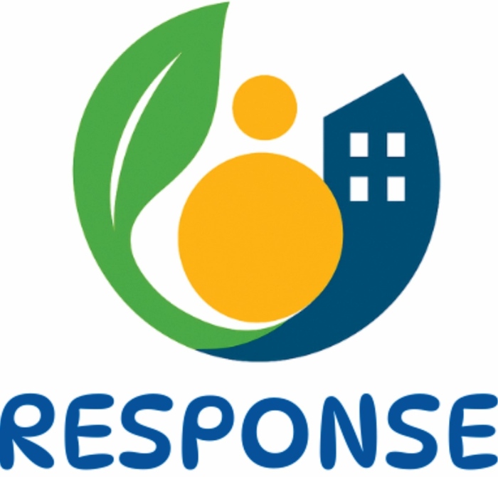 Reporting on ESG and Sustainability Performance Oriented to the Needs of Small Enterprises (RESPONSE)