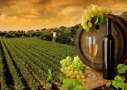 Европейската комисия приема нови извънредни мерки в подкрепа на лозаро-винарския сектор